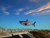 Shark Plane