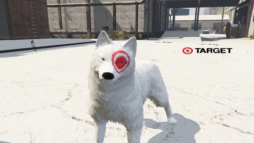 Target Dog And Cat