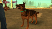 Animated Dog (mod de cachorro) v1.1 - versão Scooby-Doo 