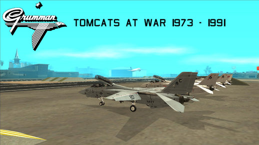 Tomcats At War 1973 - 1991