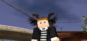 Minecraft Skin Pack V7