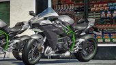 2019 Kawasaki H2 & H2R