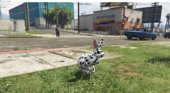 Dalmatian Rabbit Mod  V1.0