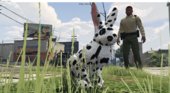 Dalmatian Rabbit Mod  V1.0