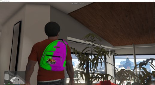 Cats of GTA 5 YouTube Channel; Back Pack