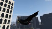 Dove And Blackbird Retextures For Pigeon