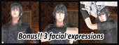 Noctis Lucis Caelum