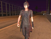 Noctis Lucis Caelum