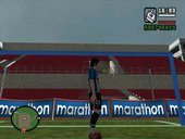 Diego Milito 
