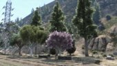 Paleto Bay Vegetation Overhaul [YMAP]