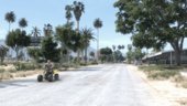 Sandy Shores Vegetation Overhaul [YMAP]