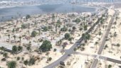 Sandy Shores Vegetation Overhaul [YMAP]