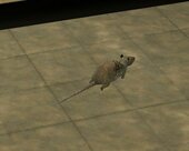 Rat Mod (Final Version)