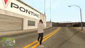 GTA Online Animations