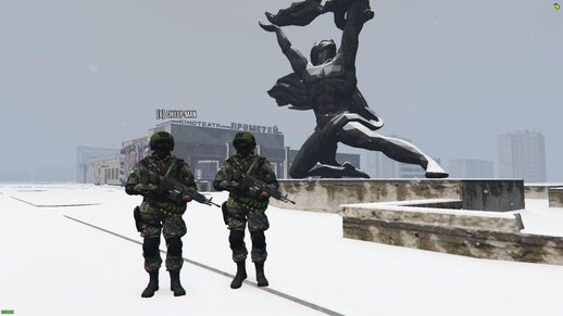 GTA 5 Ukraine Army Soldiers [Replace]
