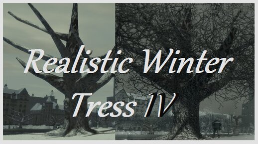Realistic Winter Trees