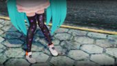 PDFT Hatsune Miku Out and About