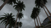 Palm Trees From Definitive Edition