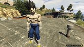 Dragon Ball Z - VEGETA - Regular & Battle Damage - retexture