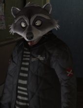 Raccoon Squad Mask for Multiplayer