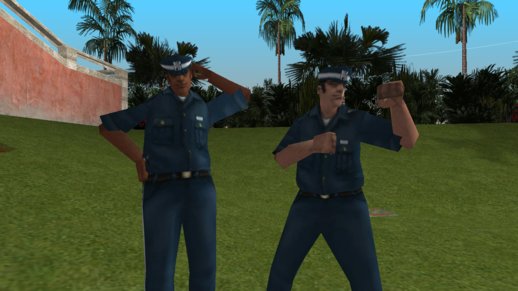 The Other Security Guard