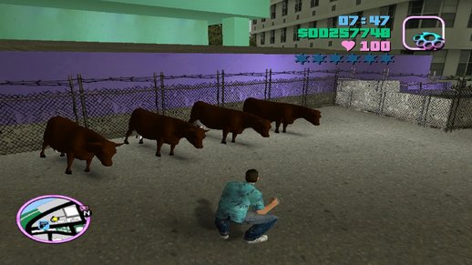 Cow For Vice City