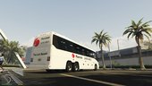 Lore-Friendly Airline Livery Pack For Coach