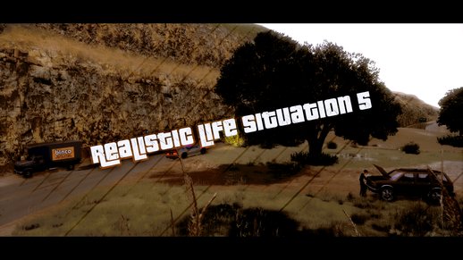 Realistic Life Situation 5