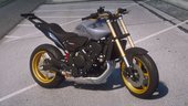 Honda Hornet de Grau [Add-on / FiveM]