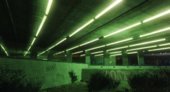 Lighting Roads City Version (LEGACY ONLY)