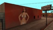 Dead Or Alive 5 Murals