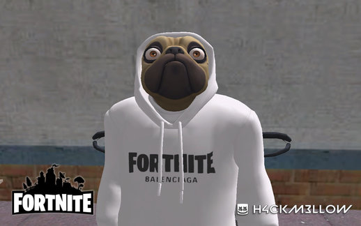 Fortnite Shady Doggo