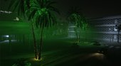 Glowing Palms 2.0