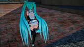 PDFT Hatsune Miku Racing Miku 2011