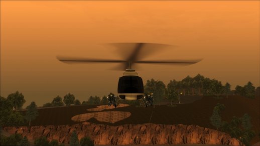 Police Aerial Support