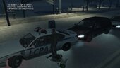 Law Enforcement Livery Pack