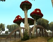 Ryder Mushrooms