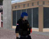 Casco Azul Policia Paraguay V1