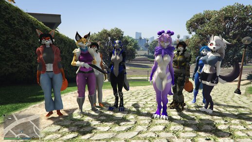 Furry Skin pack SFW & NSFW (ADD-ON Ped)