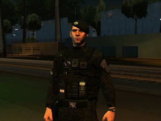 Skin ROTA PMESP