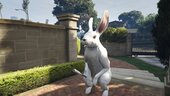 Bunny Dealer V2 Pack (Menyoo)