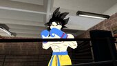 Goku Boxing 