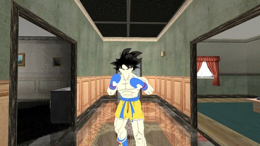 Goku Boxing 