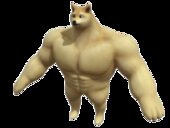 Buff Doge (Perro Doge musculoso)