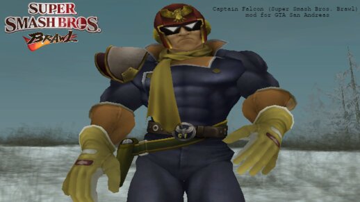 Captain Falcon (Super Smash Bros. Brawl)
