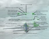 Avionics SAMP [LUA script] 0.1.5-beta.3101