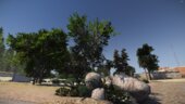 [2.1] Add more vegetation in San Andreas