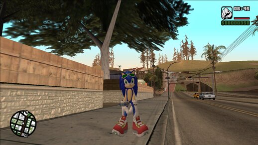 Sonic Riders Zero Gravity Sonic Trio Skin Pack