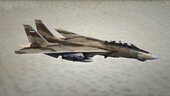 F-14A Tomcat Iranian Air Force [Add-On]