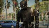 Star Wars Rogue One - Cassian Andor and K2SO